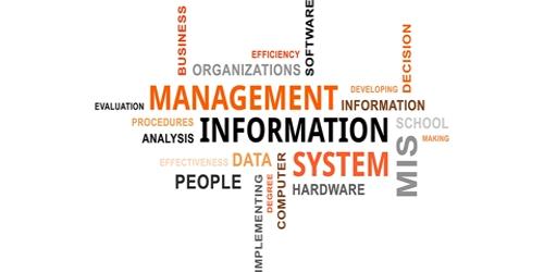 Management Information System Assessment 