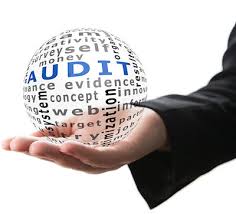 Internal Control and Audit Assessment 